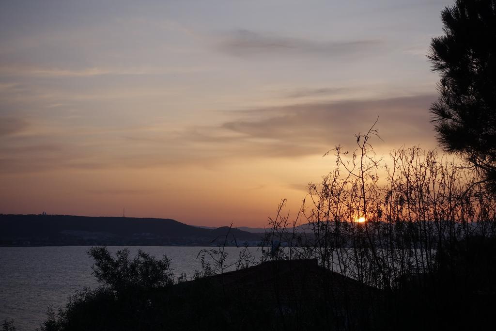Limonlu Ev Ardic Hotel Alacatı Bagian luar foto