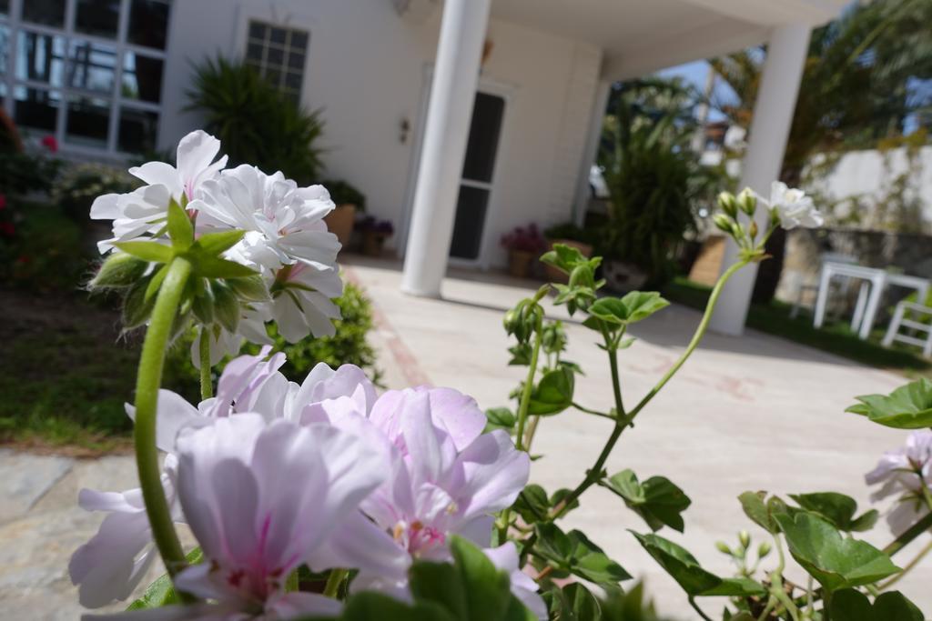 Limonlu Ev Ardic Hotel Alacatı Bagian luar foto