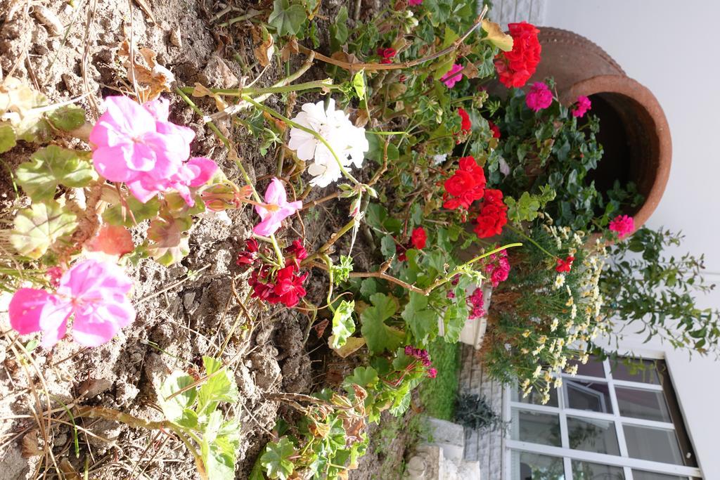 Limonlu Ev Ardic Hotel Alacatı Bagian luar foto