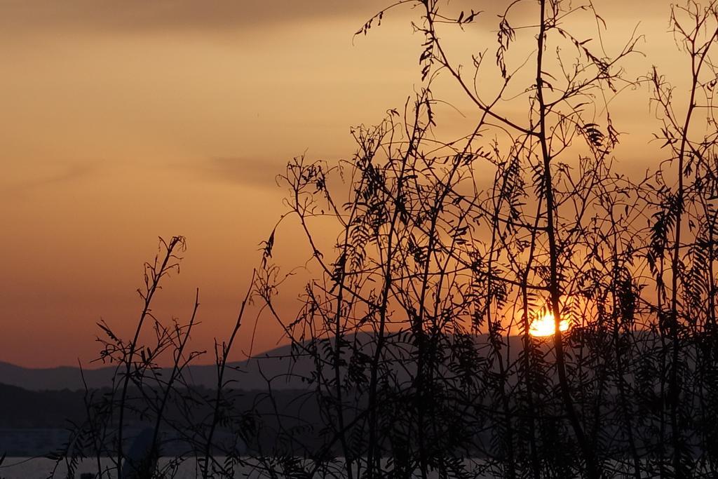 Limonlu Ev Ardic Hotel Alacatı Bagian luar foto